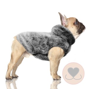Sweaters Mops / Franse Bulldog